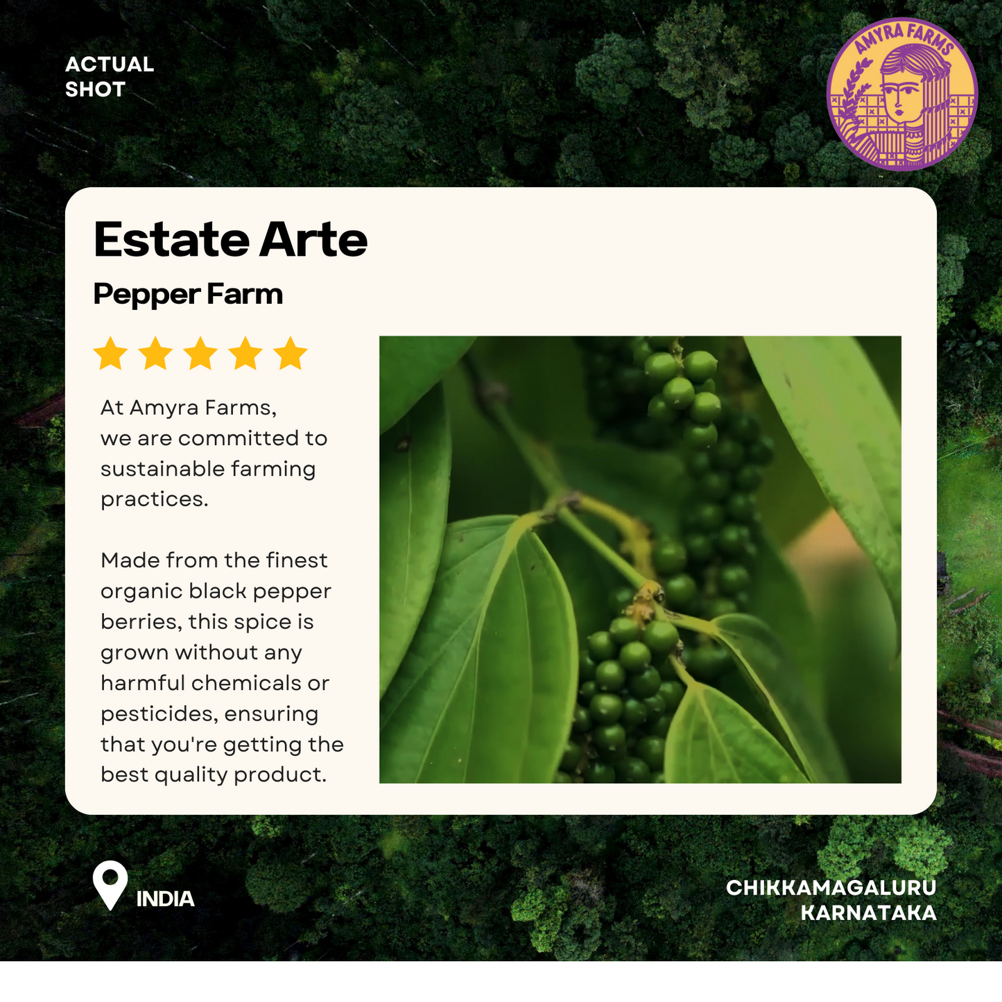 Royal Black Peppercorns | Black Pepper