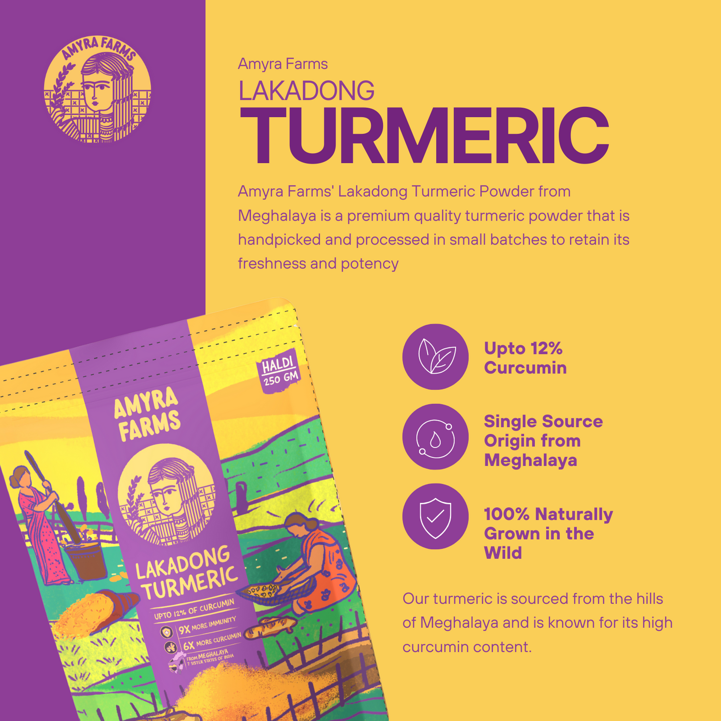 Organic Turmeric Powder From Meghalaya (9x More Immunity)