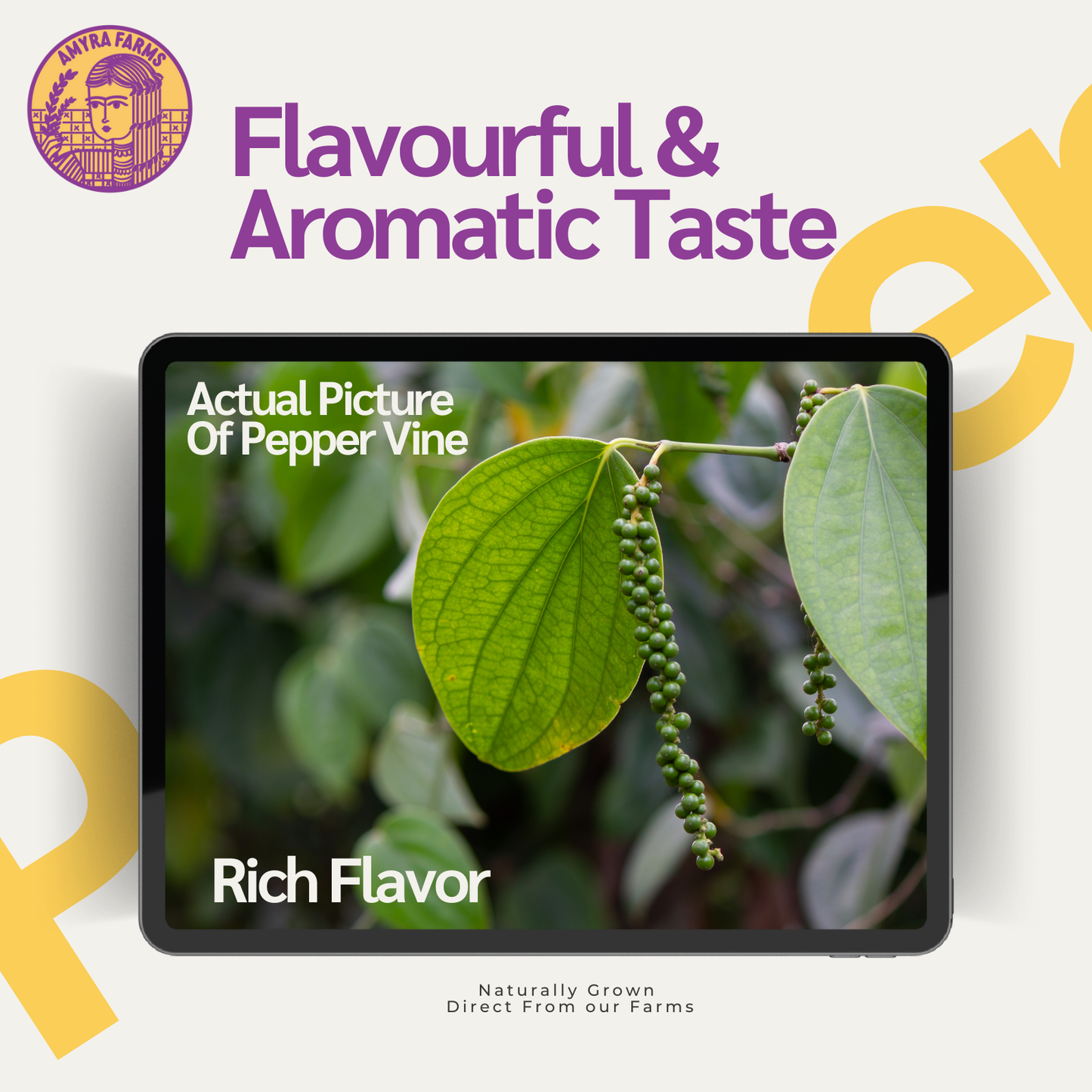 Royal Black Peppercorns | Black Pepper