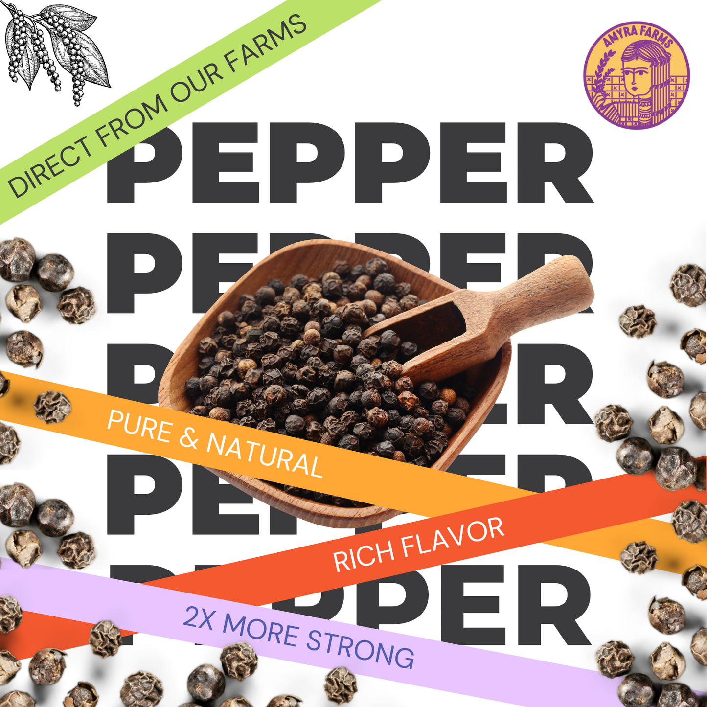 Royal Black Peppercorns | Black Pepper